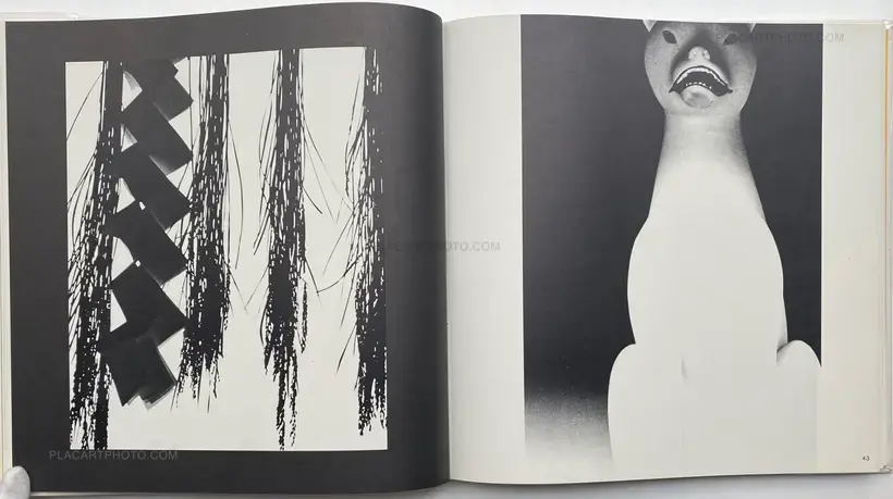 Collective – Koseki