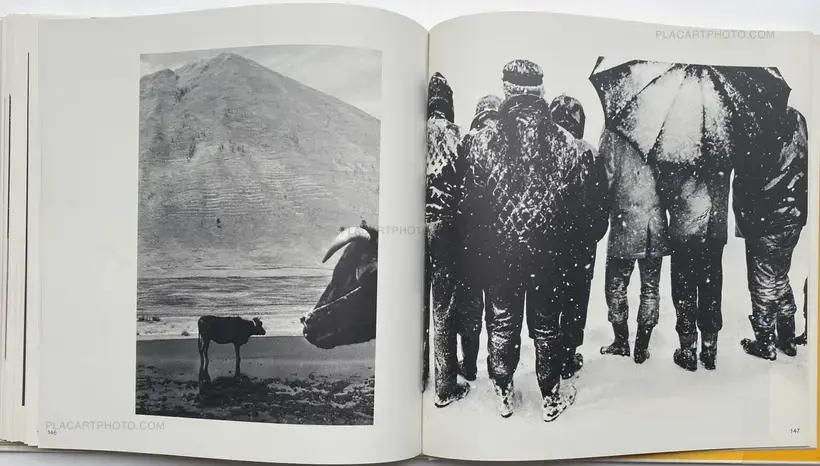Collective – Koseki