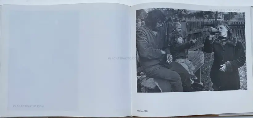 Jindřich Štreit – Vesnice je svet (The village is a global world)
