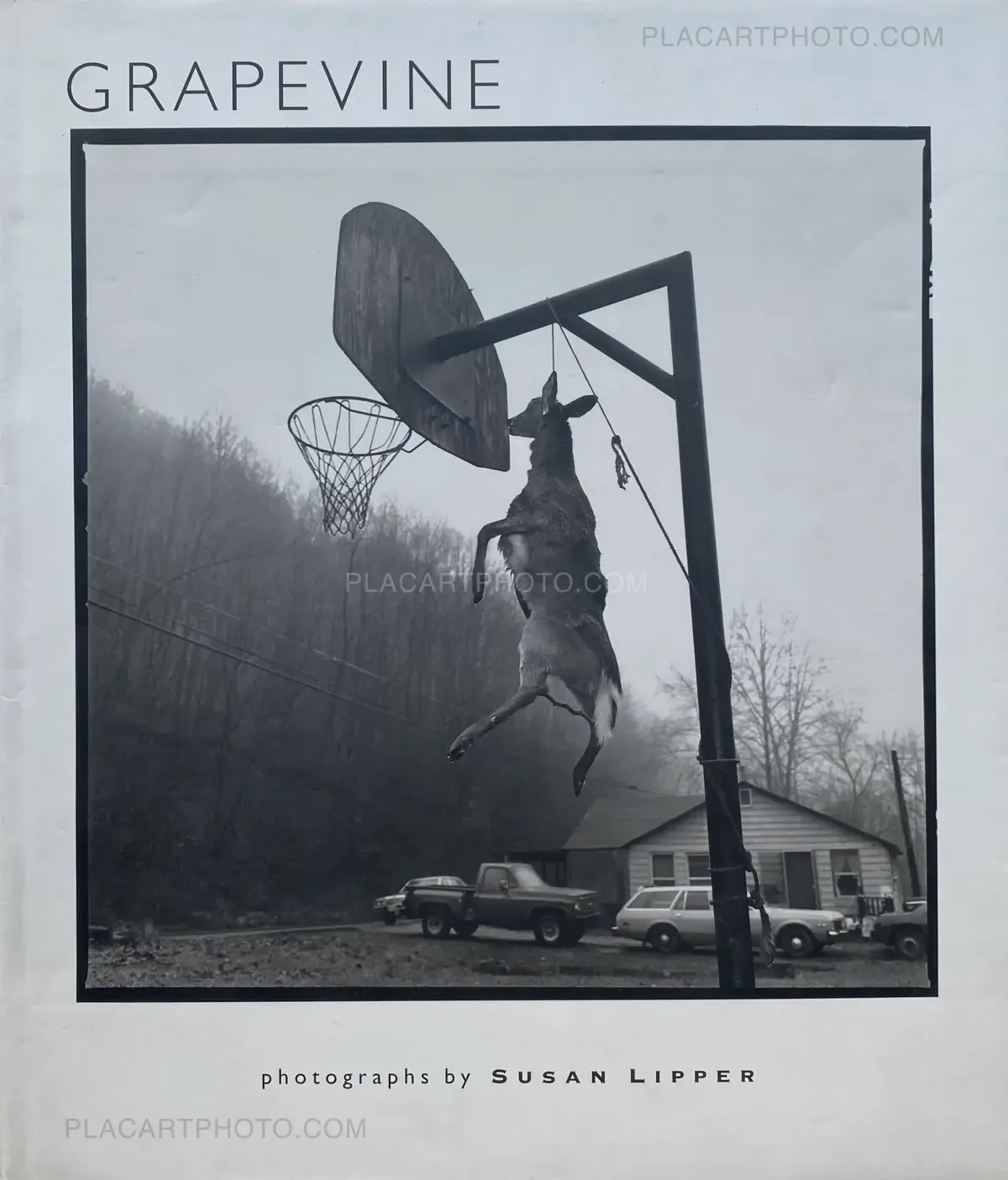 LIEVE VAN GORP写真集等6冊セット Susan Lipper, GRAPEVINE, Cornerhouse Publications, 1994 | Le Plac