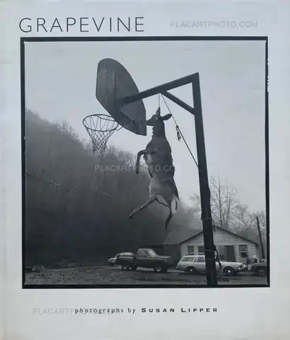 Susan Lipper – GRAPEVINE