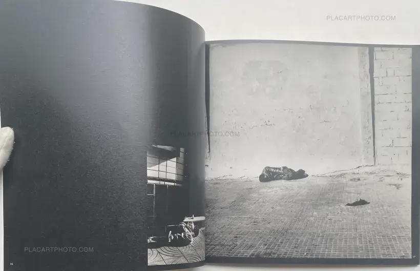Souad Guennoun – Les incendiaires