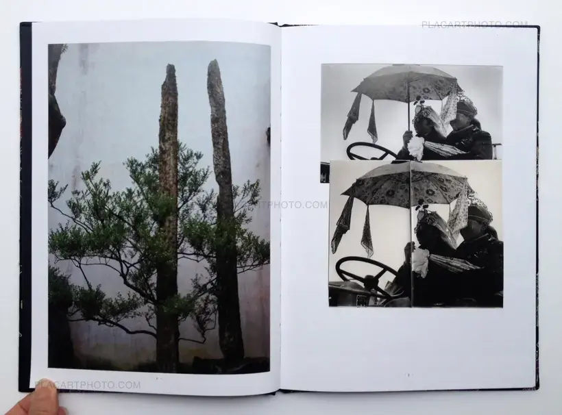 Han Lei – The Critical conditions of my awareness will sometimes trigger the shutter (Signed)