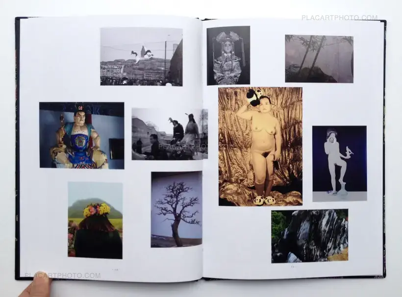 Han Lei – The Critical conditions of my awareness will sometimes trigger the shutter (Signed)