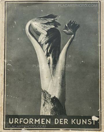 Karl Blossfeldt,Urformen der Kunst Karl Blossfeldt,Urformen der Kunst