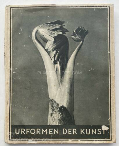 Karl Blossfeldt,Urformen der Kunst Karl Blossfeldt,Urformen der Kunst