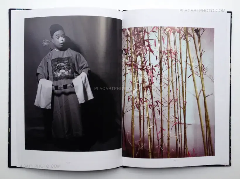 Han Lei – The Critical conditions of my awareness will sometimes trigger the shutter (Signed)
