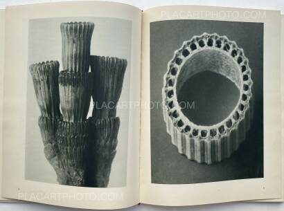 Karl Blossfeldt,Urformen der Kunst