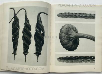 Karl Blossfeldt,Urformen der Kunst