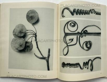 Karl Blossfeldt,Urformen der Kunst