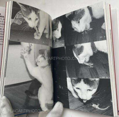 Nobuyoshi Araki,Itoshi no Chiro (Chiro, My Love)