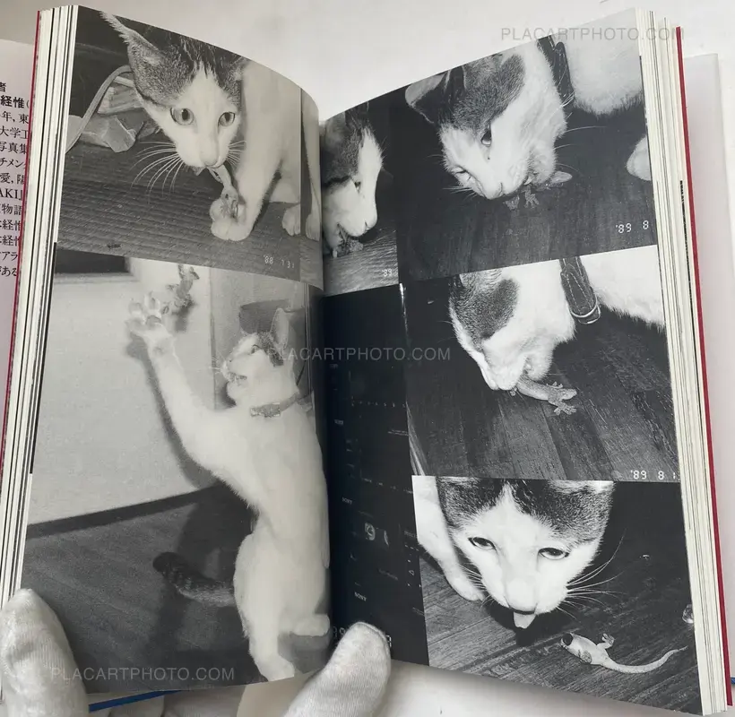Nobuyoshi Araki – Itoshi no Chiro (Chiro, My Love)