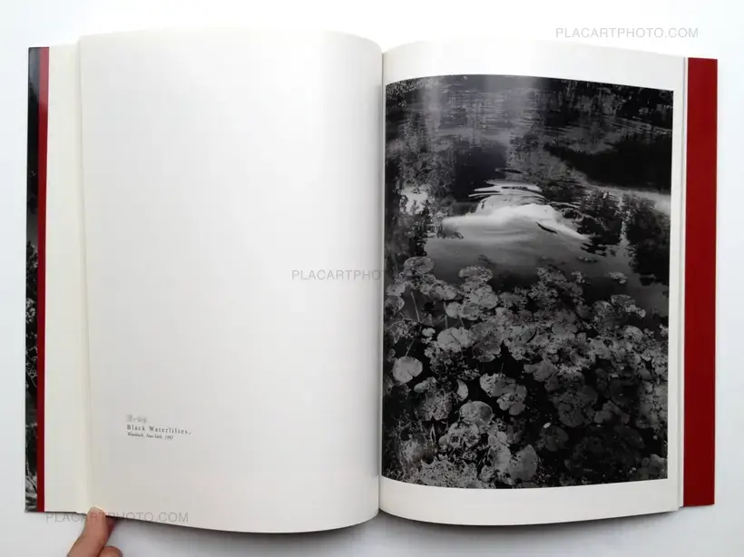 Eikoh Hosoe – Luna Rossa (Signed)