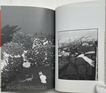 Nobuyoshi Araki,Ai no Balcony (Balcony of Love) (SIGNED WITH OBI)