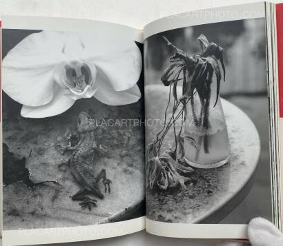 Nobuyoshi Araki,Ai no Balcony (Balcony of Love) (SIGNED WITH OBI)