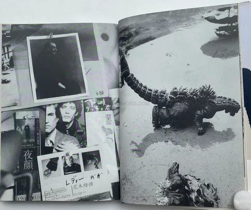 Nobuyoshi Araki – Shishosetsu (SIGNED WITH OBI)