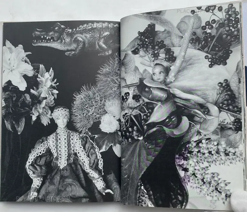 Nobuyoshi Araki – Shishosetsu (SIGNED WITH OBI)