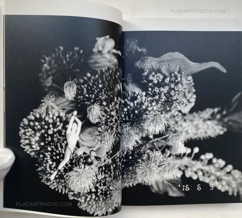 Nobuyoshi Araki – ichi-ni-san-shigo SIXTY-NINE (SIGNED)