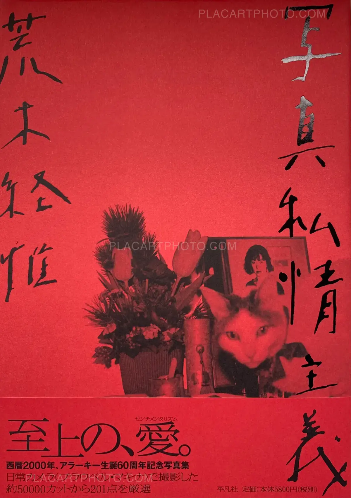 Nobuyoshi Araki, Shashin Shijo Shugi (Personal Sentimentalism in