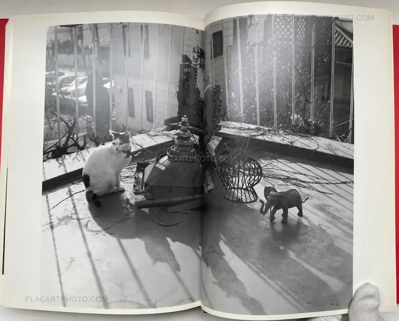 Nobuyoshi Araki – Shashin Shijo Shugi (Personal Sentimentalism in Photography) (SIGNED WITH OBI)