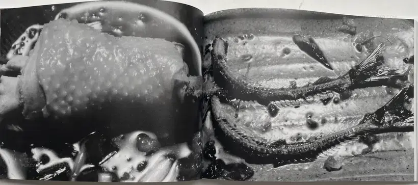 Nobuyoshi Araki – ARAKI Nobuyoshi Sentimental Journey 1971 - 2017-