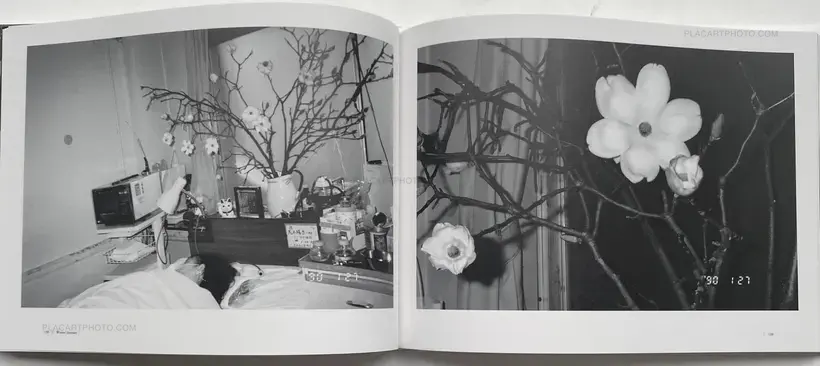 Nobuyoshi Araki – ARAKI Nobuyoshi Sentimental Journey 1971 - 2017-