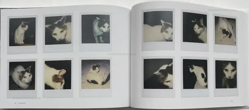Nobuyoshi Araki – ARAKI Nobuyoshi Sentimental Journey 1971 - 2017-