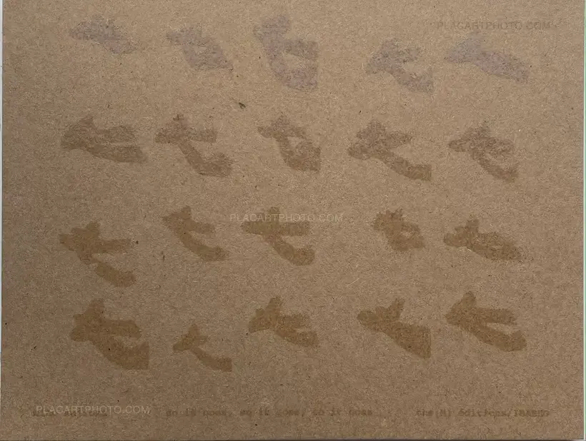 Miho Kajioka – so it goes, so it goes, so it goes