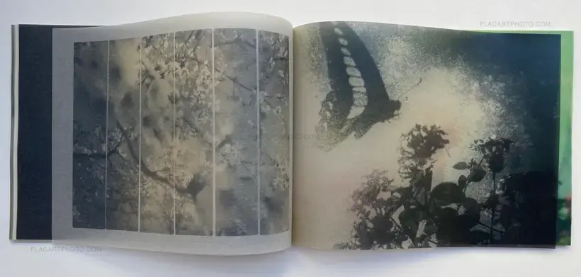 Miho Kajioka – so it goes, so it goes, so it goes