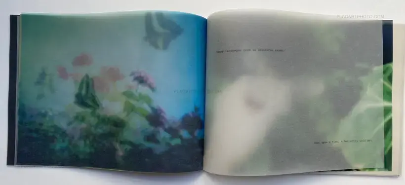 Miho Kajioka – so it goes, so it goes, so it goes