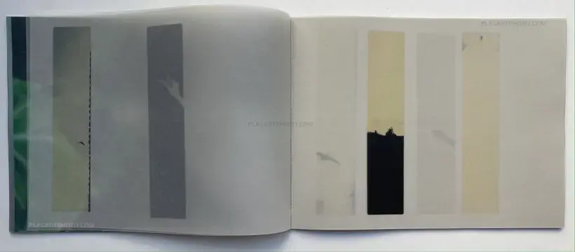 Miho Kajioka – so it goes, so it goes, so it goes