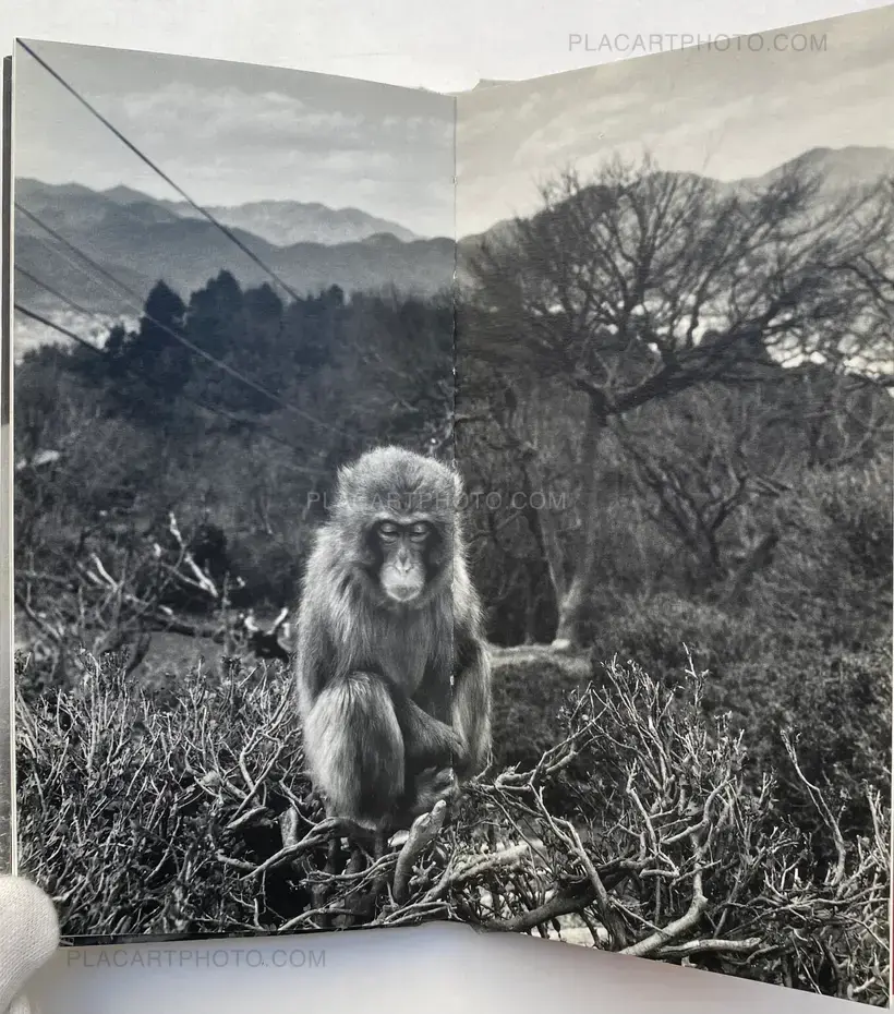 Bernard Descamps – JAPON (SIGNED)