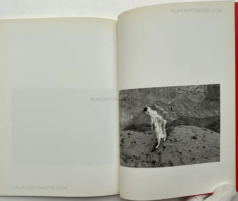 Gladys – Mamonakou