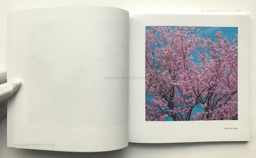 Marion Dubier-Clark – From Tokyo to Kyoto (SIGNED)