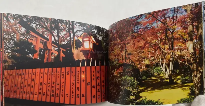 Amélie Ravalec – JAPAN VISIONS (SIGNED)
