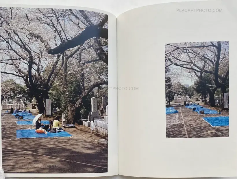Keith NG – HANAMI AOYAMA