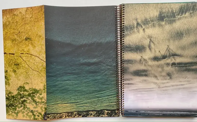 Albarran Cabrera – THE WORLD'S FIRST PHOTOBOOK WAS BLUE