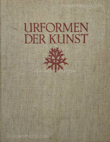 Karl Blossfeldt,Urformen der Kunst 