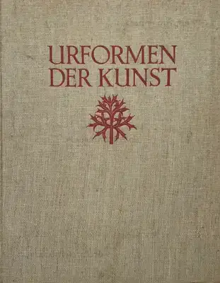 Karl Blossfeldt – Urformen der Kunst
