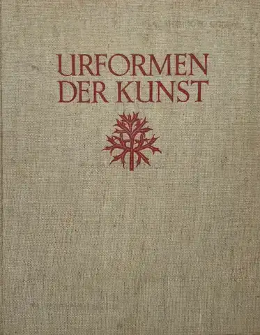 Karl Blossfeldt – Urformen der Kunst 