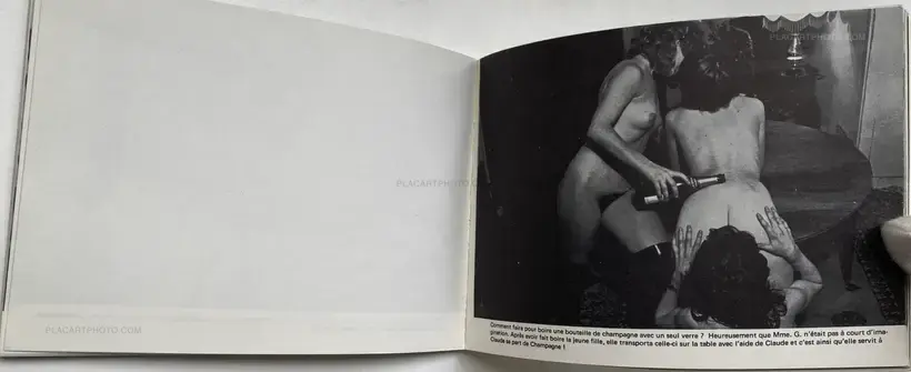 Fred Lucas – Photoroman la panne lubrique