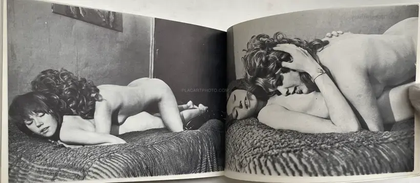 Fred Lucas – Photoroman la panne lubrique