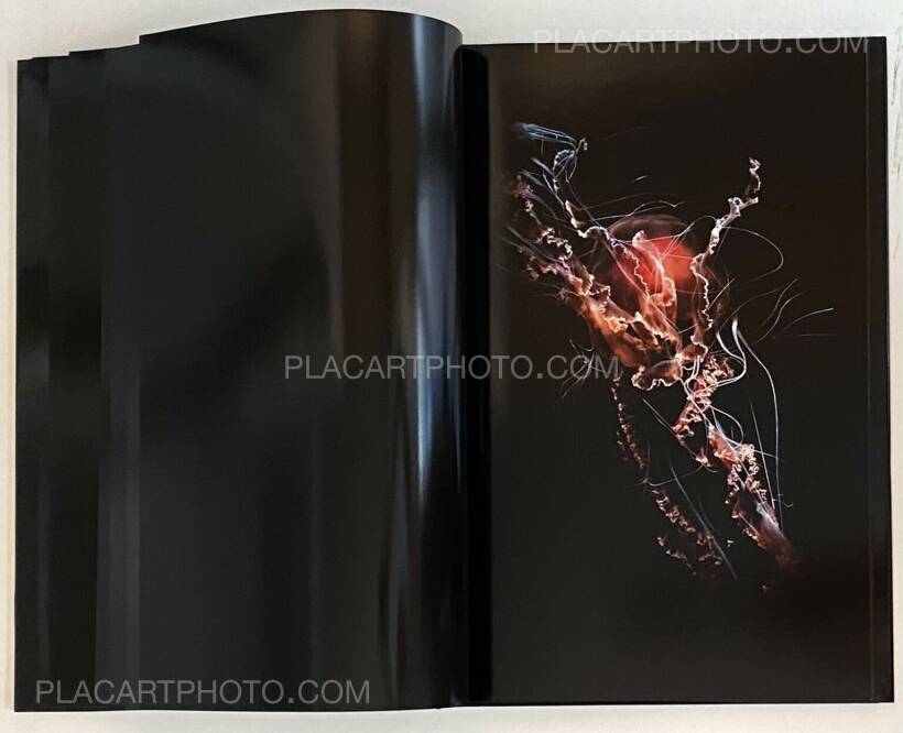 movement guido mocafico steidl ムーブメント写真集 Movement : Guido movement guido mocafico steidl ムーブメント写真集 Movement : Guido