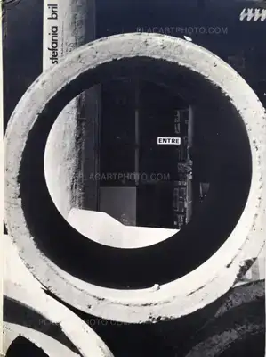 Stefania Bril – Entre (dedicated to a famous French gallerist)