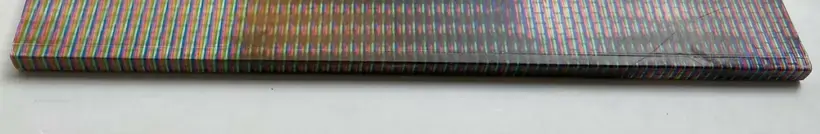 Ben Schonberger – Beautiful Pig (NUMBERED AND SIGNED)