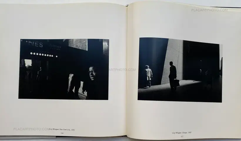 Ray K. Metzker – Unknown Territory