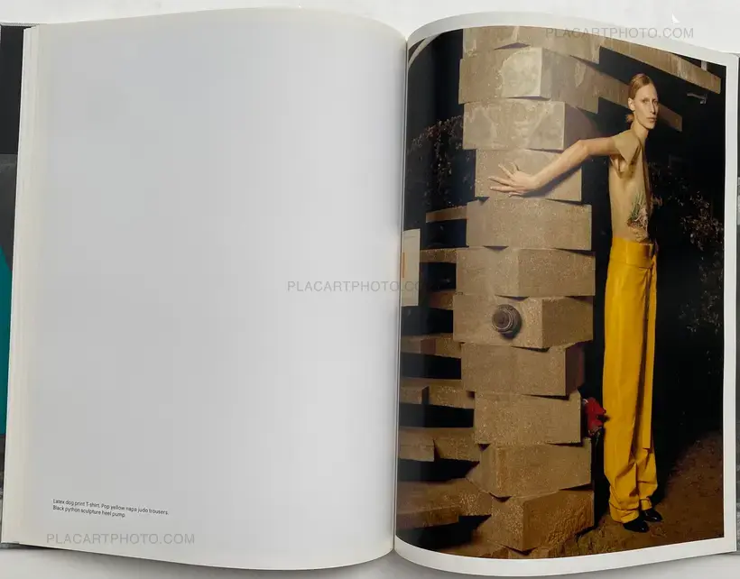 Jamie Hawkesworth – LOEWE Spring Summer 2015 Womenswear
