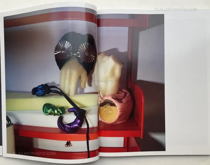 David Sims – TRANSCENDING NATURE