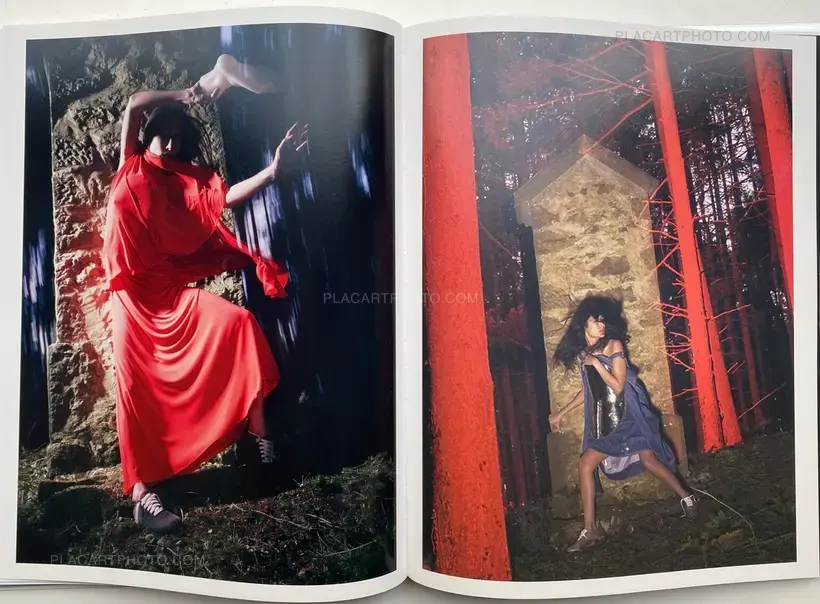 David Sims – TRANSCENDING NATURE