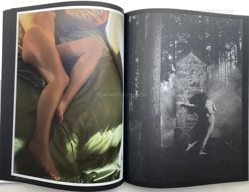 David Sims – TRANSCENDING NATURE